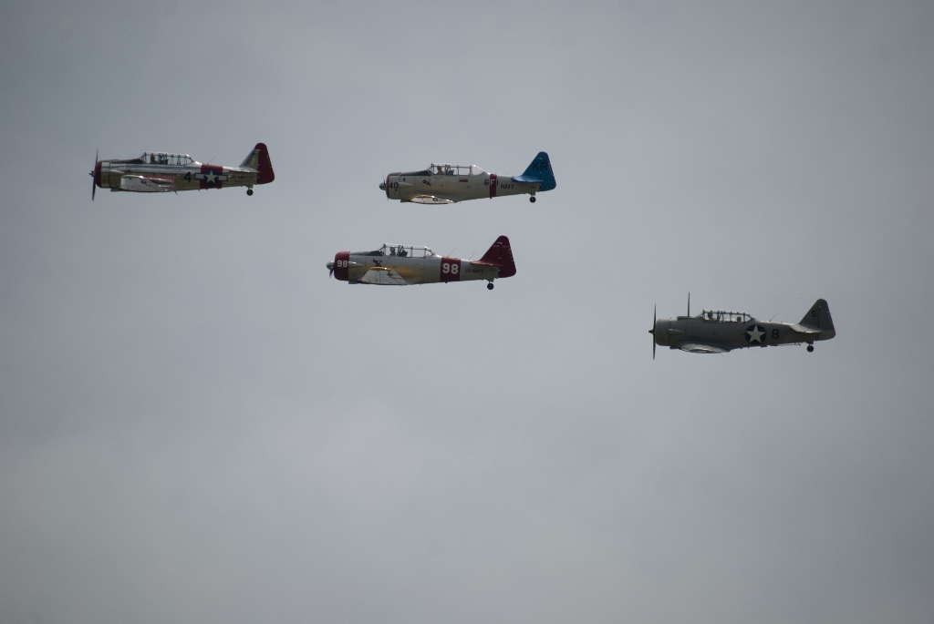 DSC_2921.jpg